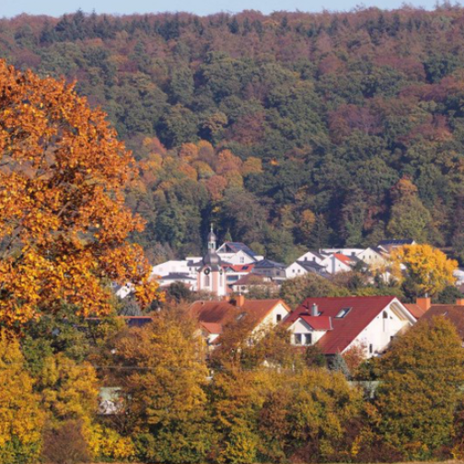 Wir möchten Nußloch lebenswert erhalten und zukunftsfest gestalten.